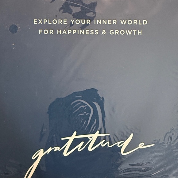 Blue Gratitude Journal by - Picture 2 of 4